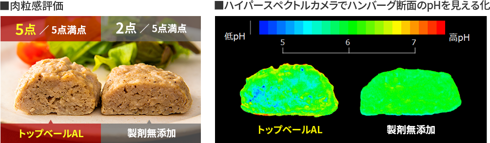 添加・未添加の肉粒感の官能評価と、ハイパースペクトルカメラでハンバーグ断面を観察し、pHの分布を見える化