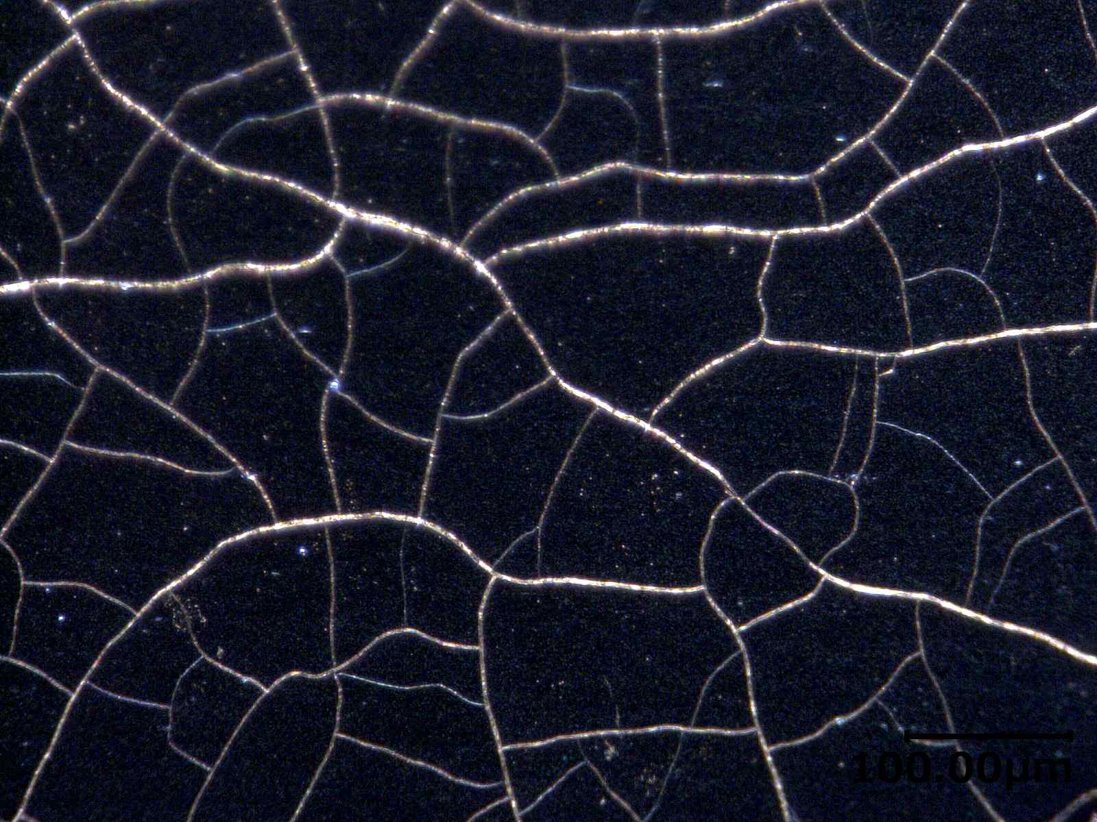 Conventional nickell plating film